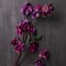 12 Pack: Purple Apple Blossom Branch Spray by Ashland®